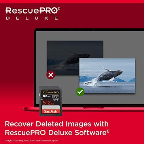 SanDisk Extreme PRO SDXC UHS-I SD Memory Card – U3, V30, C10, 4K UHD Compatible - Image 35